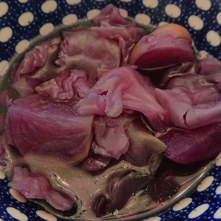 野菜たっぷりな♥️紫ポトフ